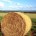 agricoltura-155x155