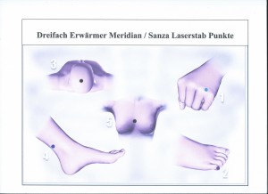 3. Meridiano del Triplice Riscaldatore o Bruciatore o Duodeno (Controllo generale del sistema ormonale)
