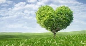 ecologia