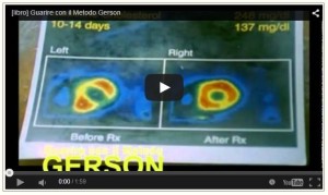 video-gersonlibro