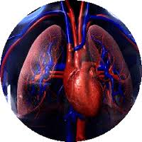 CUORE