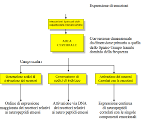 esoressioneMOZIONI