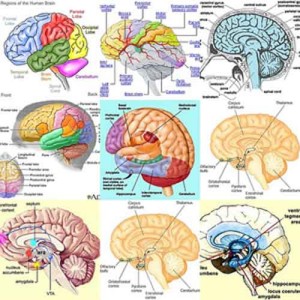parkinson