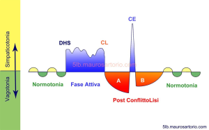 schema_elementare_fasi_malattie