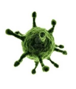 virus