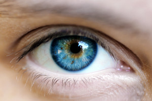 see-eye-to-eye