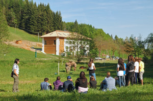 Villasandi1