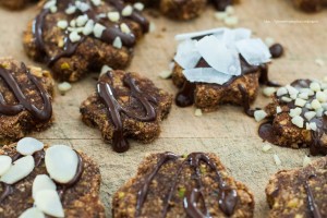 biscotti-crudisti-fibreestrattore